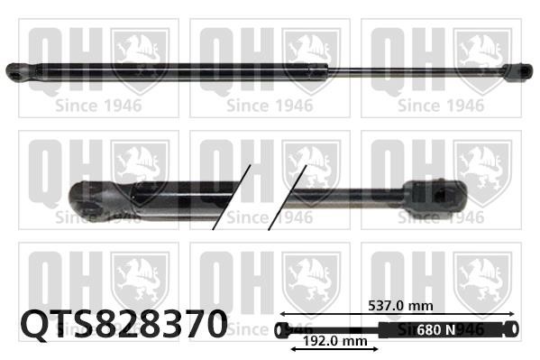 Quinton Hazell QTS828370 Gas Spring, boot-/cargo area QTS828370: Buy near me in Poland at 2407.PL - Good price!