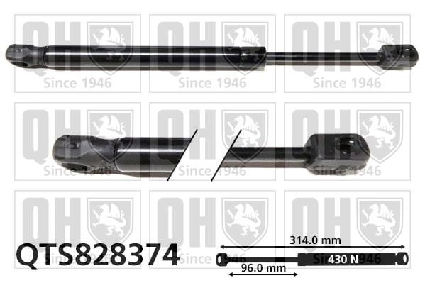 Quinton Hazell QTS828374 Gas hood spring QTS828374: Buy near me in Poland at 2407.PL - Good price!