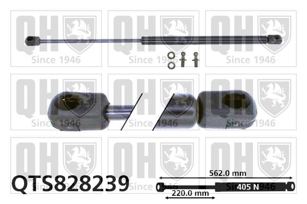 Quinton Hazell QTS828239 Gas Spring, boot-/cargo area QTS828239: Buy near me at 2407.PL in Poland at an Affordable price!