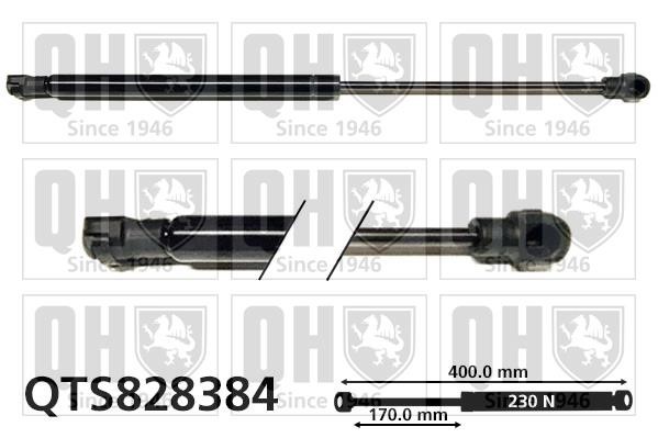 Quinton Hazell QTS828384 Gas hood spring QTS828384: Buy near me in Poland at 2407.PL - Good price!