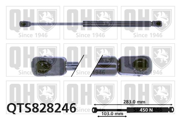Quinton Hazell QTS828246 Gas hood spring QTS828246: Buy near me in Poland at 2407.PL - Good price!