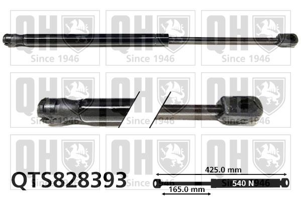 Quinton Hazell QTS828393 Gas Spring, boot-/cargo area QTS828393: Buy near me in Poland at 2407.PL - Good price!