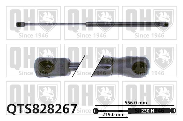 Quinton Hazell QTS828267 Gas hood spring QTS828267: Buy near me in Poland at 2407.PL - Good price!