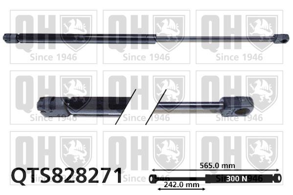 Quinton Hazell QTS828271 Gas hood spring QTS828271: Buy near me in Poland at 2407.PL - Good price!