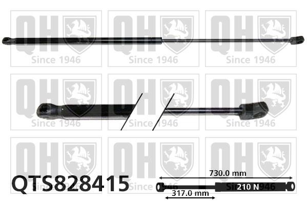 Quinton Hazell QTS828415 Gas hood spring QTS828415: Buy near me in Poland at 2407.PL - Good price!