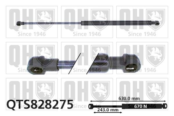 Quinton Hazell QTS828275 Gas Spring, boot-/cargo area QTS828275: Buy near me in Poland at 2407.PL - Good price!