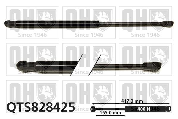 Quinton Hazell QTS828425 Gas hood spring QTS828425: Buy near me in Poland at 2407.PL - Good price!