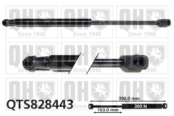 Quinton Hazell QTS828443 Gas hood spring QTS828443: Buy near me in Poland at 2407.PL - Good price!