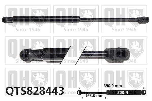Quinton Hazell QTS828443 Sprężyna gazowa pokrywy silnika QTS828443: Atrakcyjna cena w Polsce na 2407.PL - Zamów teraz!