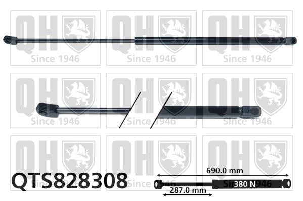 Quinton Hazell QTS828308 Gas hood spring QTS828308: Buy near me in Poland at 2407.PL - Good price!