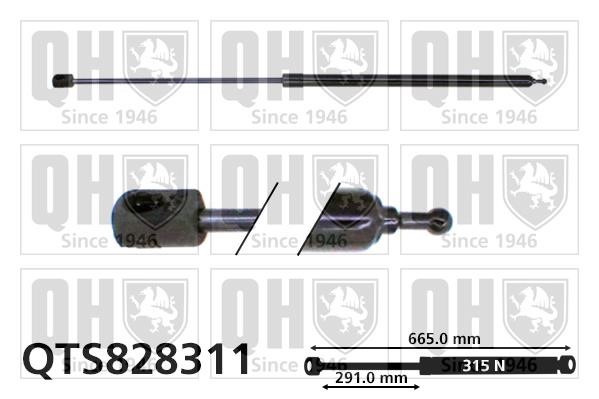 Quinton Hazell QTS828311 Gas hood spring QTS828311: Buy near me in Poland at 2407.PL - Good price!