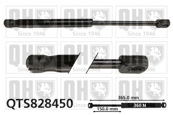 Quinton Hazell QTS828450 Gas hood spring QTS828450: Buy near me in Poland at 2407.PL - Good price!