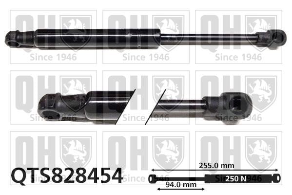 Quinton Hazell QTS828454 Gas hood spring QTS828454: Buy near me in Poland at 2407.PL - Good price!