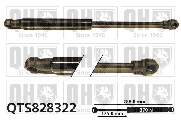 Quinton Hazell QTS828322 Gas Spring, boot-/cargo area QTS828322: Buy near me in Poland at 2407.PL - Good price!