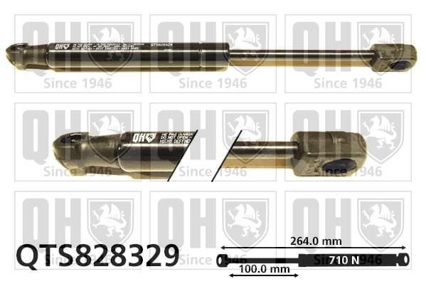 Quinton Hazell QTS828329 Gas hood spring QTS828329: Buy near me in Poland at 2407.PL - Good price!