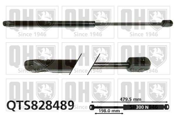 Quinton Hazell QTS828489 Gas hood spring QTS828489: Buy near me in Poland at 2407.PL - Good price!