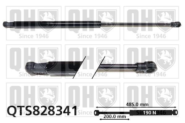 Quinton Hazell QTS828341 Gas Spring, boot-/cargo area QTS828341: Buy near me in Poland at 2407.PL - Good price!
