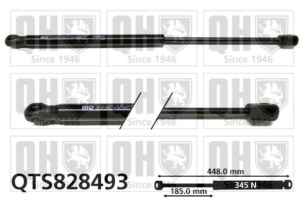 Quinton Hazell QTS828493 Gas hood spring QTS828493: Buy near me in Poland at 2407.PL - Good price!