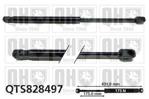Quinton Hazell QTS828497 Gas hood spring QTS828497: Buy near me in Poland at 2407.PL - Good price!