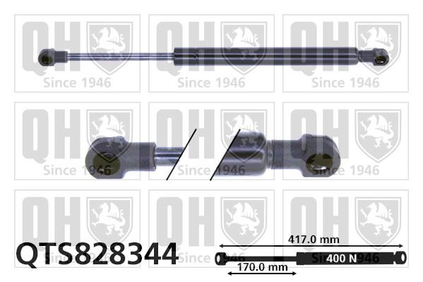 Quinton Hazell QTS828344 Gas Spring, boot-/cargo area QTS828344: Buy near me at 2407.PL in Poland at an Affordable price!