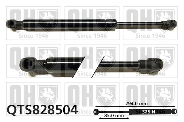 Quinton Hazell QTS828504 Sprężyna gazowa pokrywy silnika QTS828504: Dobra cena w Polsce na 2407.PL - Kup Teraz!
