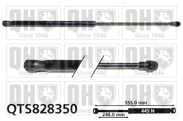 Quinton Hazell QTS828350 Gas Spring, boot-/cargo area QTS828350: Buy near me in Poland at 2407.PL - Good price!