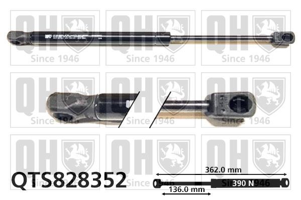 Quinton Hazell QTS828352 Gas Spring, boot-/cargo area QTS828352: Buy near me in Poland at 2407.PL - Good price!