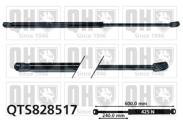 Quinton Hazell QTS828517 Gas hood spring QTS828517: Buy near me in Poland at 2407.PL - Good price!