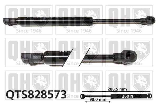 Quinton Hazell QTS828573 Gas hood spring QTS828573: Buy near me in Poland at 2407.PL - Good price!