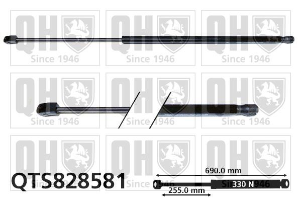 Quinton Hazell QTS828581 Gas hood spring QTS828581: Buy near me in Poland at 2407.PL - Good price!