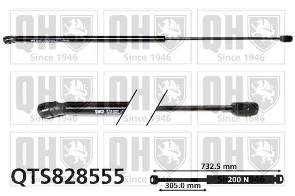 Quinton Hazell QTS828555 Gas hood spring QTS828555: Buy near me in Poland at 2407.PL - Good price!