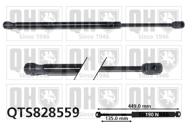 Quinton Hazell QTS828559 Gas hood spring QTS828559: Buy near me in Poland at 2407.PL - Good price!