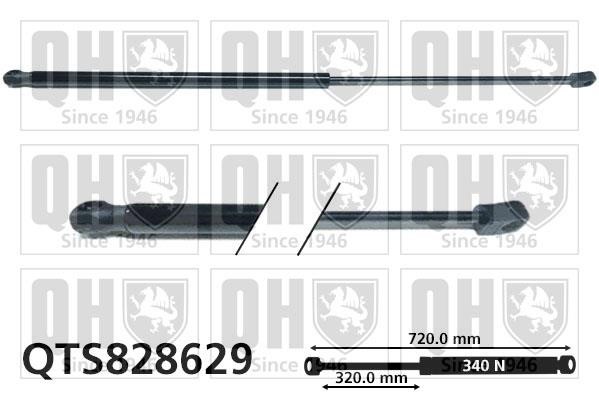 Quinton Hazell QTS828629 Gas hood spring QTS828629: Buy near me in Poland at 2407.PL - Good price!