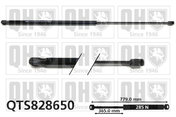 Quinton Hazell QTS828650 Gas hood spring QTS828650: Buy near me in Poland at 2407.PL - Good price!