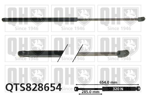 Quinton Hazell QTS828654 Пружина газова капоту QTS828654: Приваблива ціна - Купити у Польщі на 2407.PL!