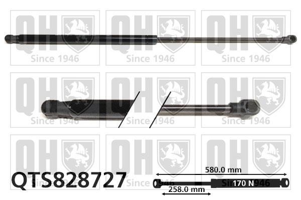 Quinton Hazell QTS828727 Gas hood spring QTS828727: Buy near me at 2407.PL in Poland at an Affordable price!