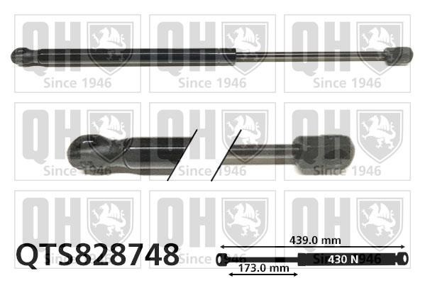 Quinton Hazell QTS828748 Gas hood spring QTS828748: Buy near me in Poland at 2407.PL - Good price!