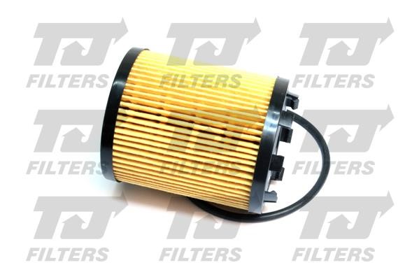 Quinton Hazell QFL0081 Oil Filter QFL0081: Buy near me at 2407.PL in Poland at an Affordable price!