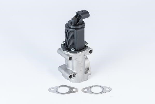 Wahler 710952R Valve 710952R: Buy near me at 2407.PL in Poland at an Affordable price!