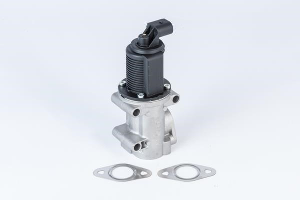 Wahler 710952R Valve 710952R: Buy near me in Poland at 2407.PL - Good price!