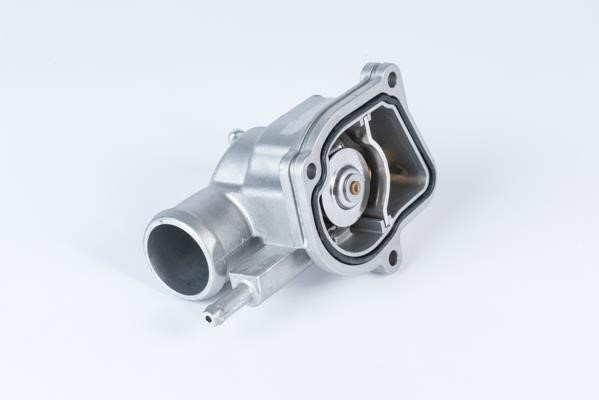 Wahler 411963.87D Thermostat, coolant 41196387D: Buy near me in Poland at 2407.PL - Good price!
