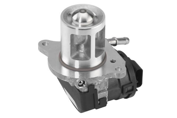 Wahler 710095D EGR Valve 710095D: Buy near me in Poland at 2407.PL - Good price!