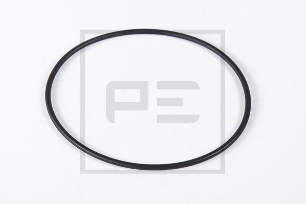 PE Automotive 041.006-00A Уплотнительное кольцо, поворотного кулака 04100600A: Отличная цена - Купить в Польше на 2407.PL!