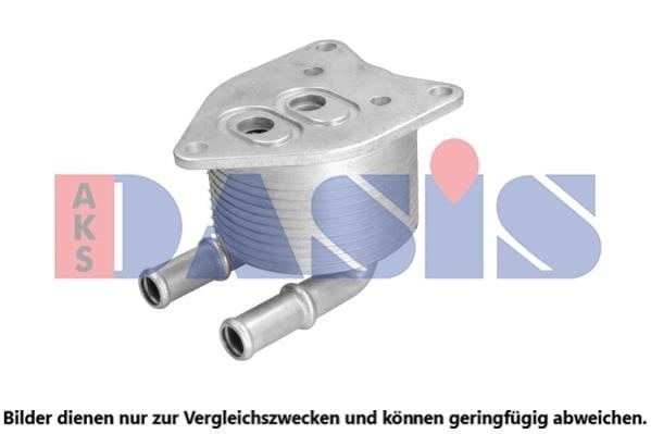 Dasis 066023N Oil Cooler, automatic transmission 066023N: Buy near me in Poland at 2407.PL - Good price!
