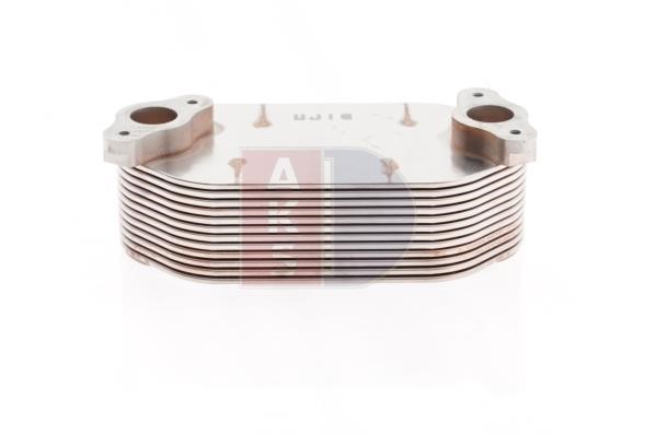 Dasis 136019X Oil Cooler, engine oil 136019X: Buy near me in Poland at 2407.PL - Good price!