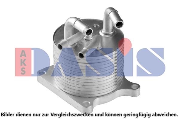 Dasis 146003N Oil Cooler, automatic transmission 146003N: Buy near me in Poland at 2407.PL - Good price!