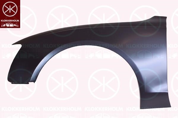 Klokkerholm 0038312 Front fender right 0038312: Buy near me at 2407.PL in Poland at an Affordable price!