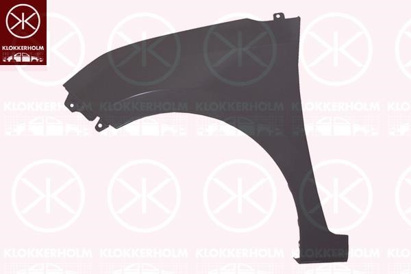 Klokkerholm 3121314A1 Front fender right 3121314A1: Buy near me in Poland at 2407.PL - Good price!