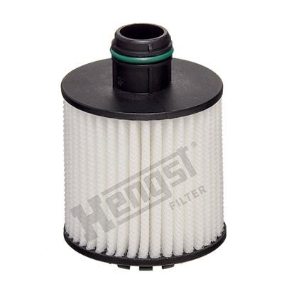Hengst E873H D377 Oil Filter E873HD377: Buy near me in Poland at 2407.PL - Good price!
