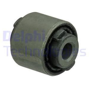 Delphi TD1793W Silent block rear lever TD1793W: Buy near me at 2407.PL in Poland at an Affordable price!